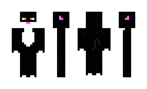 черно-белого кота