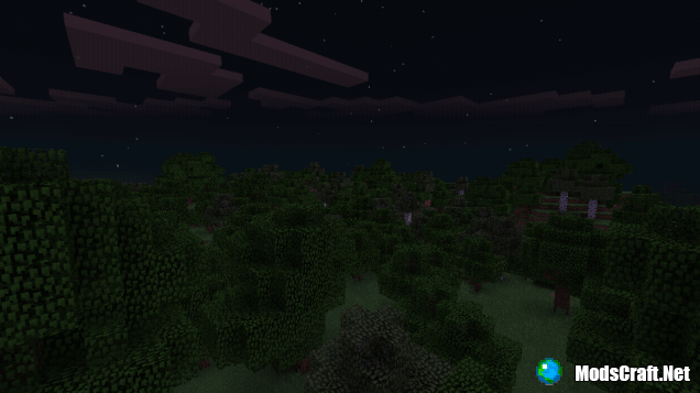 Скриншот ночного леса