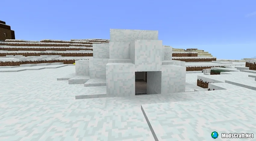 Igloo in biome