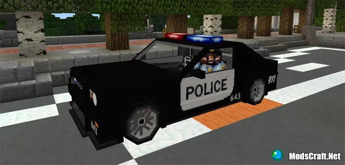 Mod: Police Car