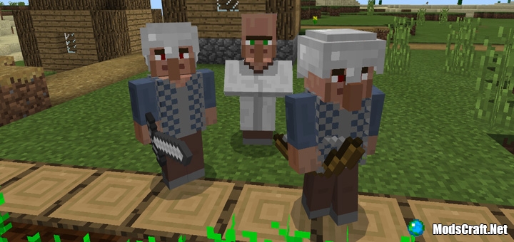 Mod: Village Guards
