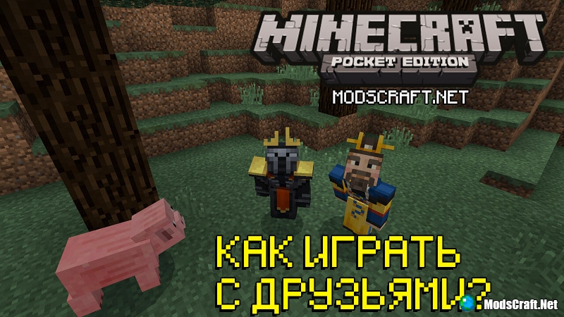 How to play MCPE with friends?