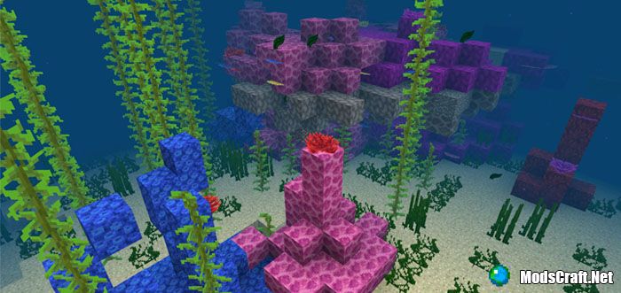 Seed: Coral reef at spawn