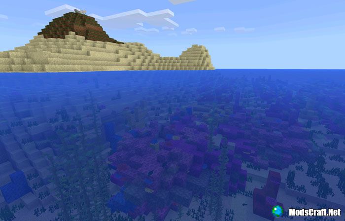 Seed: Coral reef at spawn