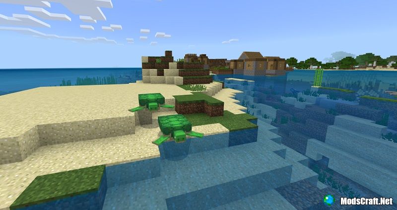 Seed: Village fortress and Shipwreck