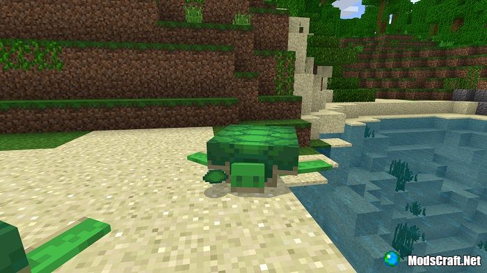 Щиток с Черепахи в Minecraft