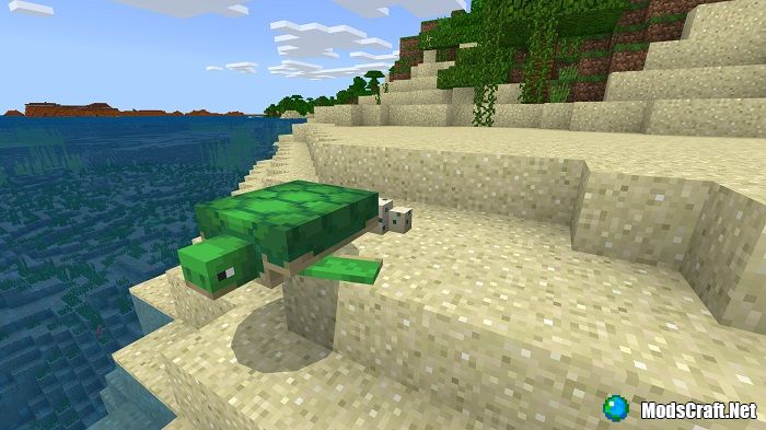 Turtle in Minecraft 1.5