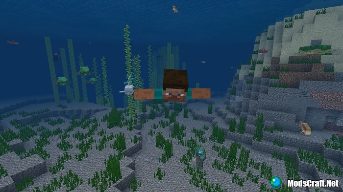 Download Minecraft PE 1.5.0 apk free: Update Aquatic