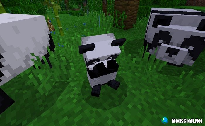 Panda in Minecraft is crying