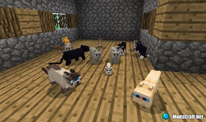 Cats in Minecraft 1.8
