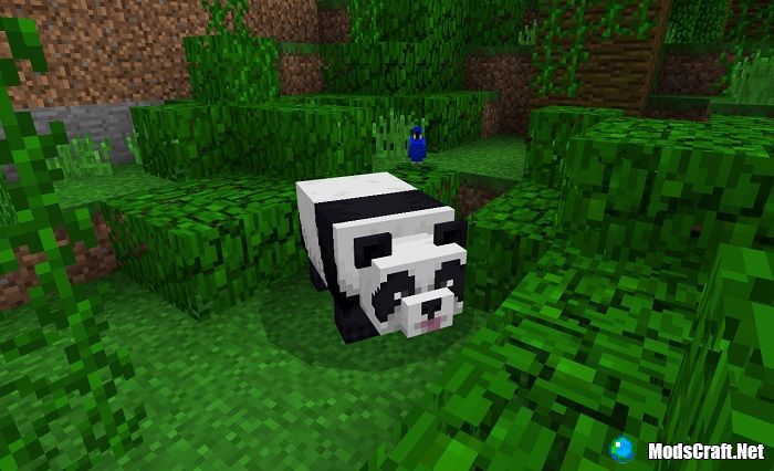 Pandas in Minecraft 1.8