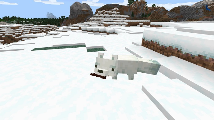 Snow Fox in Minecraft