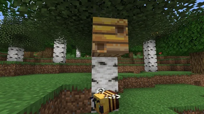 Announcement «Nether Update» for Minecraft!