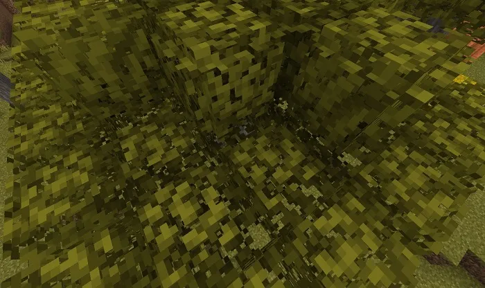 Texture: 3D Leaves Model