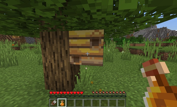 Bottle of honey in Minecraft PE 1.14