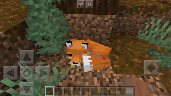 Foxes in the MCPE 1.13 update