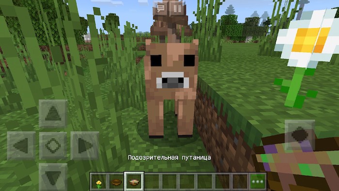 Подозрительное рагу в Minecraft PE 1.13