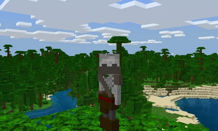 Skeleton player skin