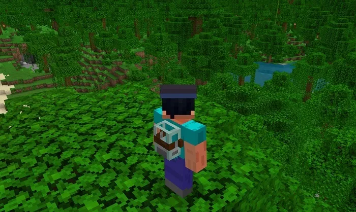 Small backpack on back