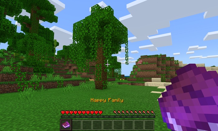 Happy mod 9. Хэппи мод 1. Хэппи мод майнкрафт. Мод на майнкрафт Happy Family. Кафе Хэппи мод Minecraft.