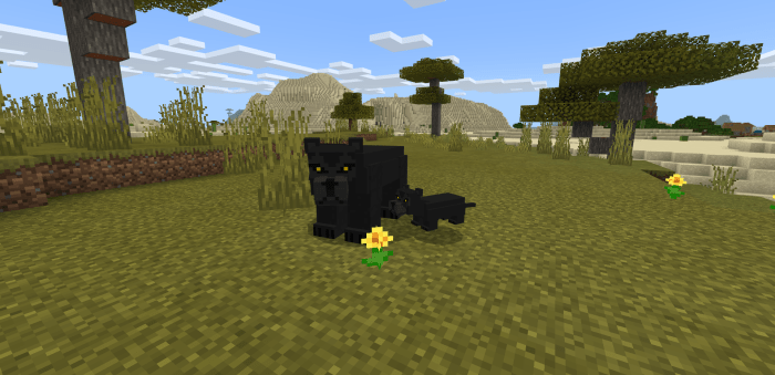 Panthers in Minecraft