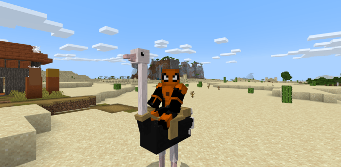 The player is sitting on an ostrich