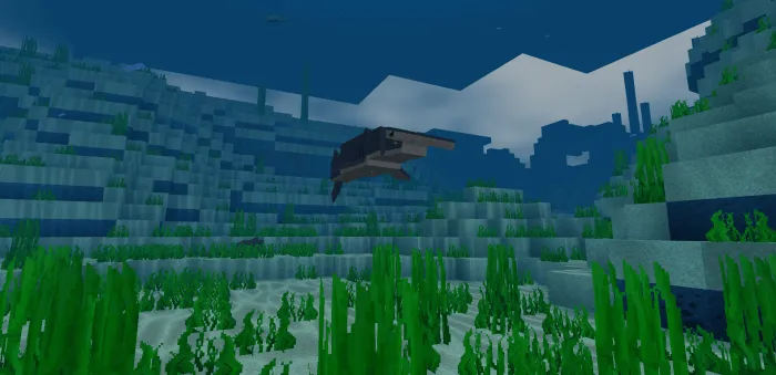 Hammerhead shark