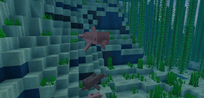 Dolphins in Minecraft
