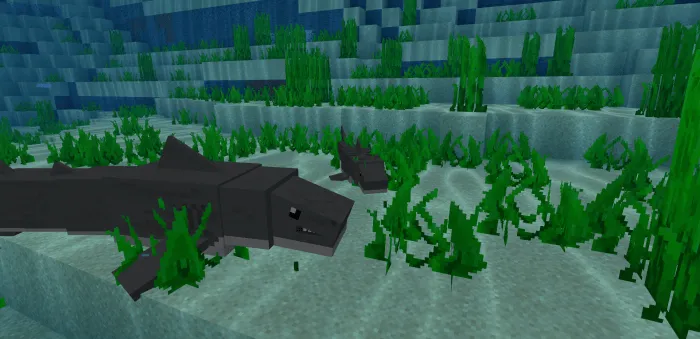 Great white and tiger sharks