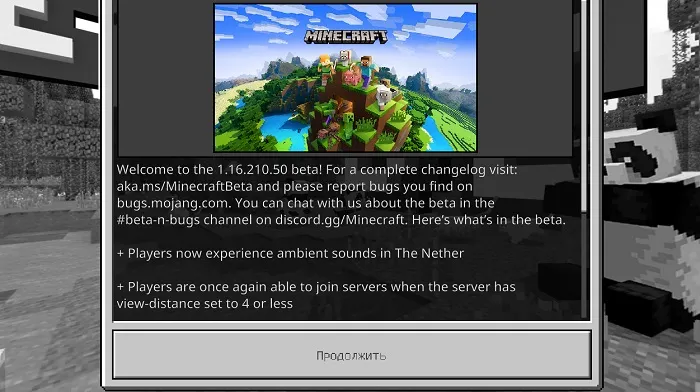 Minecraft PE Beta 1.16.210.50