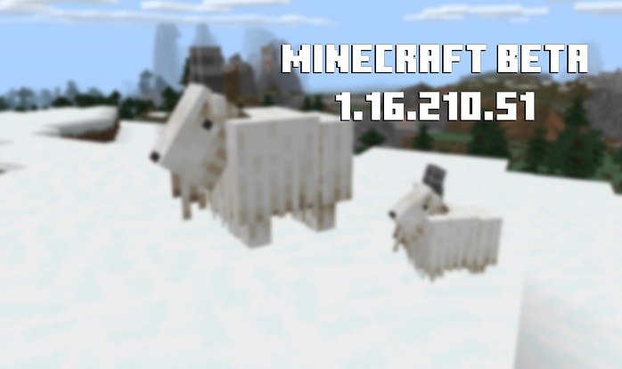 Minecraft PE Beta 1.16.210.51