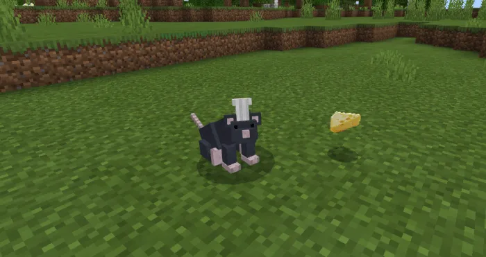 Rat in Minecraft