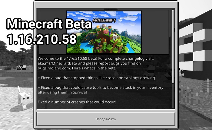 Minecraft Beta 1.16.210.58