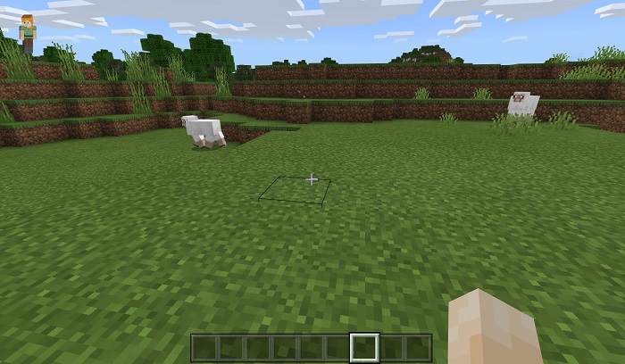 Worldedit minecraft inside