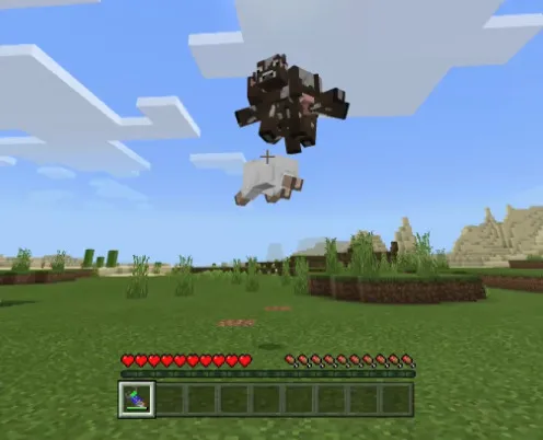 Mod: Pancakes Gravity Gun