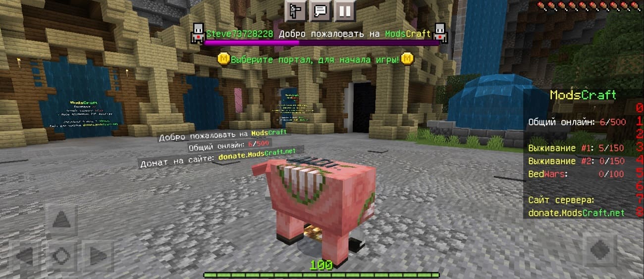 4D skin working on the Minecraft server