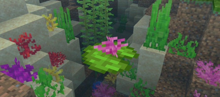 Texture: Lily Pads Plus+