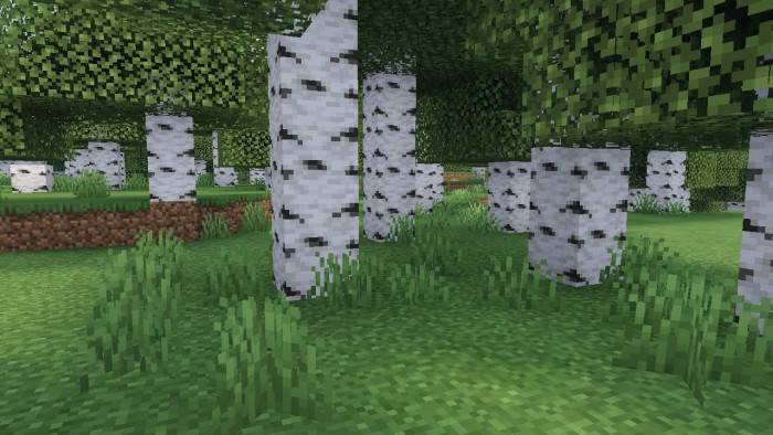 Nova Shaders New B Shader Aways Reflection Edition para o Minecraft PE  1.20.30! - EpicoDown