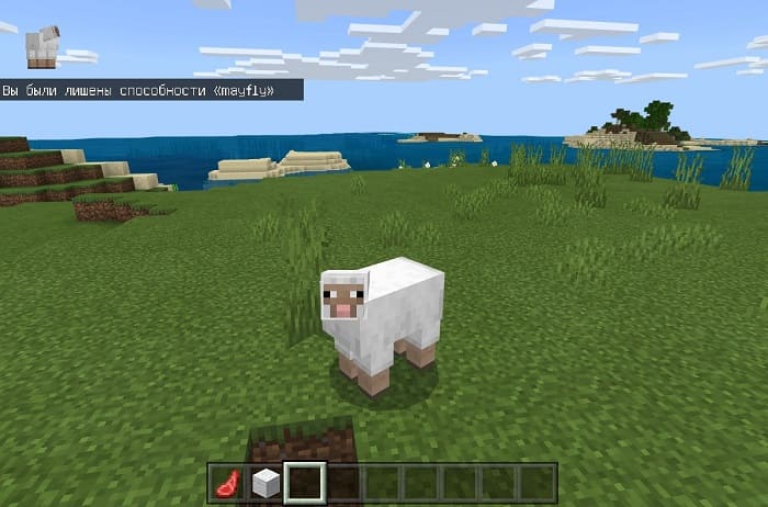 The player became a sheep in Minecraft
