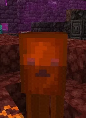 Mod: Survivalcraft Nether Expansion