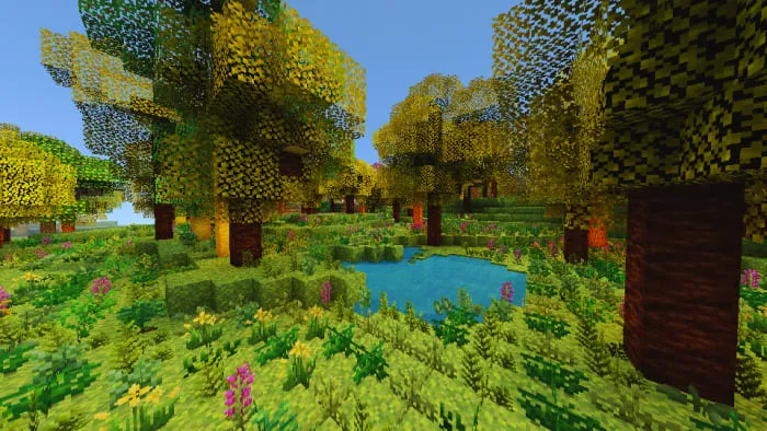 Trees with lush forests