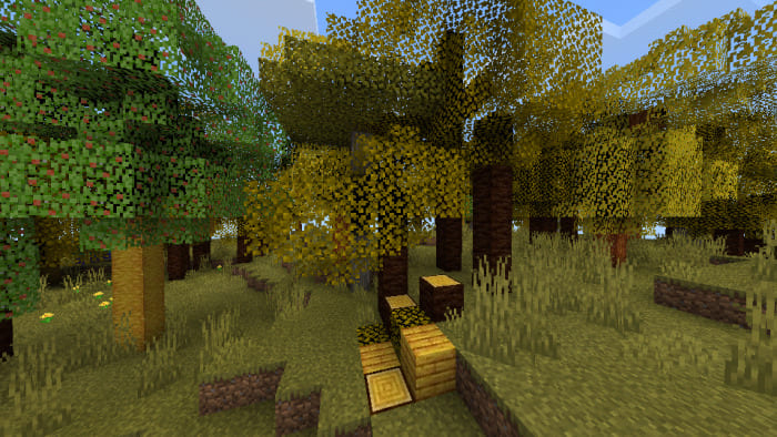 Flat-leaved birch in Minecraft