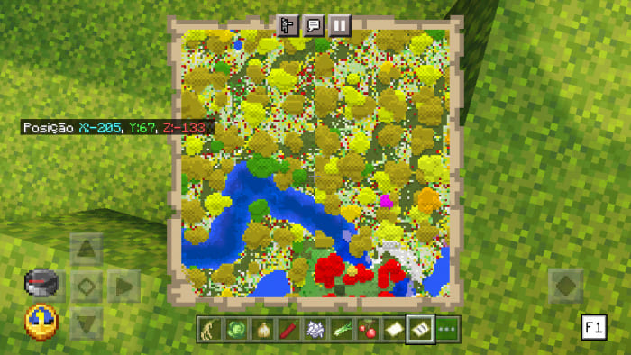 What the biome looks like on the map