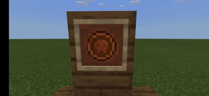Rusty coin in Minecraft