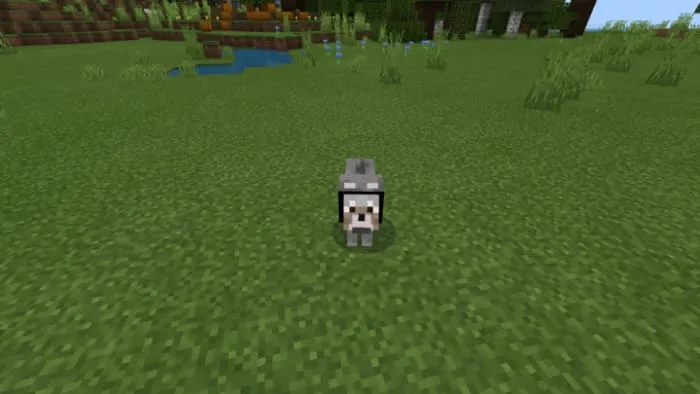 Male wolf in Minecraft