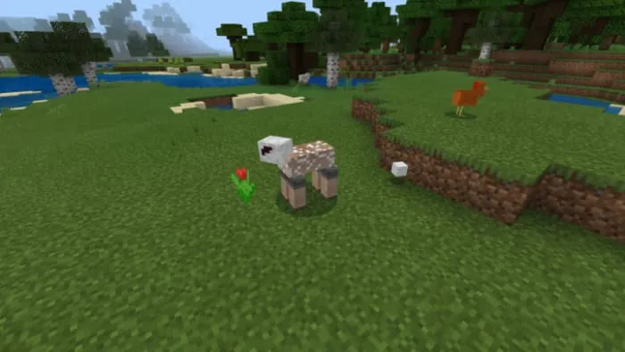 Shorn sheep in Minecraft