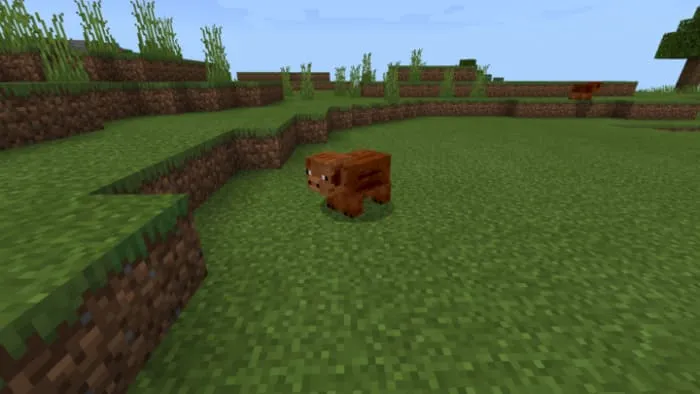 Boar in Minecraft