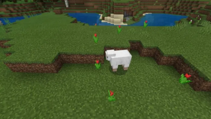 Male sheep in Minecraft