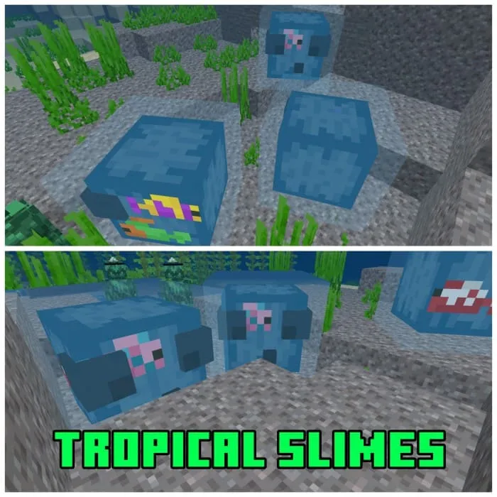 Tropical slime in Minecraft