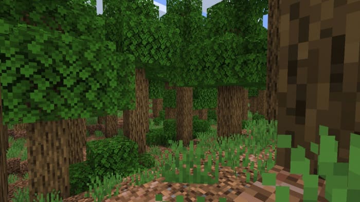 thicket in Minecraft
